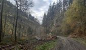 Tour Wandern Malmedy - xhoffray .reinhardstein . carrière de la wache  . xhoffray  - Photo 9