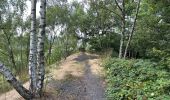 Randonnée Marche Liège - Liège sainte Walburge Buren sentier coteau terril 17,2 km - Photo 1