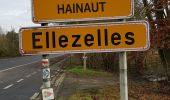 Tocht Stappen Elzele - Adeps Ellezelles 10 km - 29/12/2019 - Photo 6