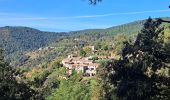 Randonnée Marche Faugères - Autour de Faugères  - Photo 6