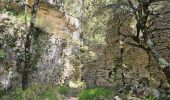 Trail Walking Signes - Plateau d'Agnis en partant de La Marseillaise - Photo 13