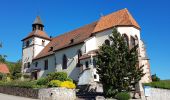 Percorso Marcia Dambach-la-Ville - Dambach - châteaux du Bernstein, de l'Ortenbourg et du Ramstein - Photo 3