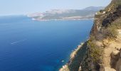 Randonnée Marche La Ciotat - falaise du cap Canaille AR - Photo 2