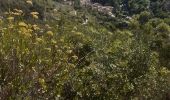 Percorso Marcia Saint-Maurice-Navacelles - Le randas st guilhem le désert  - Photo 4