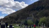 Tocht Stappen The Municipal District of Wicklow - Glendalough  - Photo 4