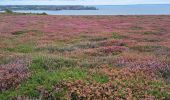 Trail Walking Camaret-sur-Mer - T-St-Julien - Photo 6