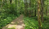 Trail Walking La Chapelle-Enchérie - La Chapelle-Enchérie - Les Haies - Photo 12