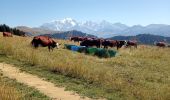 Percorso Mountainbike Hauteluce - les saisies - Photo 1
