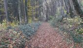 Tocht Stappen Durbuy - aisne . pont le prêtre  . villers sainte gertrude  - Photo 12