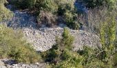 Trail Walking Aniane - grotte des reliques, montcalmes - Photo 16