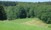 Percorso A piedi Euskirchen - EifelSchleife Madbachtalsperre - Photo 1