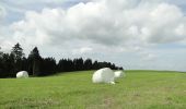 Tour Zu Fuß Iserlohn - Atenaer Rundweg - Photo 9