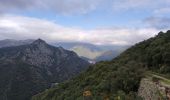 Tocht Stappen Villeneuve-Minervois - ville nouvelle minervois - Photo 1