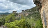Trail Walking Saint-Pierre-des-Tripiers - 21 06 07 Les corniches de la Jonte et du Tarn - Photo 4