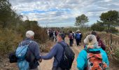 Trail Walking Charleval - PF-Charleval - Les Costes - Bois des Taillades - Cuou de Peyrou - Photo 14