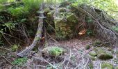 Tour Zu Fuß Mudau - Rundwanderweg Reisenbacher Grund 2 - Photo 3