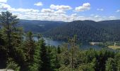 Tour Mountainbike Gerdsee - Gérardmer Haie Griselle Liezey - Photo 1