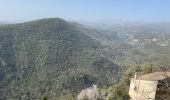 Tour Wandern Montauroux - Gorges de la Siagne - Photo 19