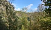 Tour Wandern Dinant - Parc naturel Furfooz - Photo 13