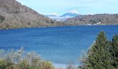 Tocht Stappen Laffrey - Tour du Grand Lac de Laffrey en circuit - Photo 12