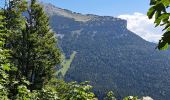 Trail Walking Sarcenas - la Pinéa du col de Portes - Photo 10