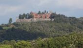 Tour Zu Fuß Gaiole in Chianti - Trekking tra i castelli 8 - Photo 3