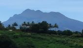 Trail Walking Le Lorrain - Mornes Capot / Lorrain Martinique - Photo 15