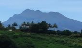 Randonnée Marche Le Lorrain - Mornes Capot / Lorrain Martinique - Photo 15