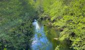 Trail Walking Pied-de-Borne - Le tour du chassezac - Photo 10