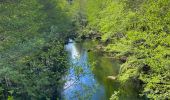 Tour Wandern Pied-de-Borne - Le tour du chassezac - Photo 10