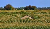 Tour Wandern Philippeville - Balade de Villers-le-Gambon à Franchimont - Photo 3