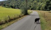 Tour Wandern Esneux - Boucle de Bavo - Photo 2