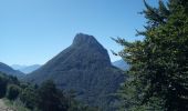 Randonnée Marche Proveysieux - Planfay_Aiguille de Quaix - Photo 12