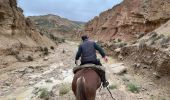 Trail Horseback riding Bardenas Reales de Navarra - Bardenas jour 6 - Photo 18