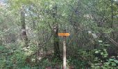 Trail Walking Nogent-l'Abbesse - 06/10/2022 Nogent L'Abesse - Photo 1