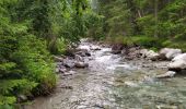 Excursión Senderismo Mallnitz - Seebach Cascades - Photo 10