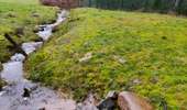 Trail Walking Lierneux - Promenade vers la fagne de la Crépale  - Photo 4
