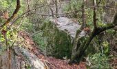 Tour Wandern Méounes-lès-Montrieux - Gouffre de Signoret - Méounes - Photo 13