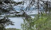 Trail Walking Killarney Municipal District - Muckross House and the Torc water falls - Photo 1