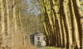 Tour Wandern Écaussinnes - Ecaussinnes et le Bois de la Houssiere - Photo 5