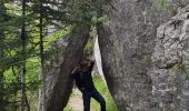 Tour Wandern Villard-de-Lans - La moliere - col d'herbouilly - pot du loup - crête - Photo 9