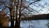 Percorso A piedi Sconosciuto - Castlewellan Forest Park - Cypress Pond Walk - Photo 10