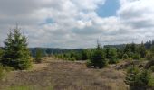 Trail Walking Waimes - petit tour en Brackvenn  - Photo 15