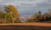 Trail Walking Durtol - Durtol_Cote_Pegnu - Photo 1