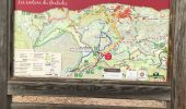 Tour Wandern Saint-Raphaël - Colle de belle bardevolle de belle barde  - Photo 11