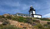 Trail Walking Calvi - Calvi : Pointe de revellata - Photo 20