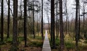 Tocht Stappen Gouvy - Promenade vers la réserve naturelle 