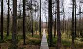 Tocht Stappen Gouvy - Promenade vers la réserve naturelle 