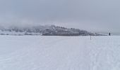 Tour Nordic Walking Besse-et-Saint-Anastaise - super besse 01/01/2021 - Photo 1