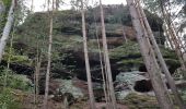 Percorso Marcia Lièpvre - Liépvre - Roche des Fées, Roche de Chalmont, Rocher du Coucou, château du Frankenbourg - Photo 12